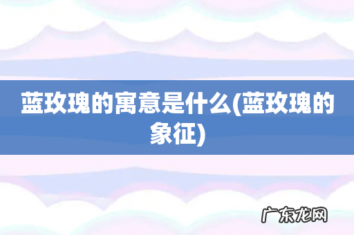 蓝玫瑰的象征 蓝玫瑰的寓意是什么