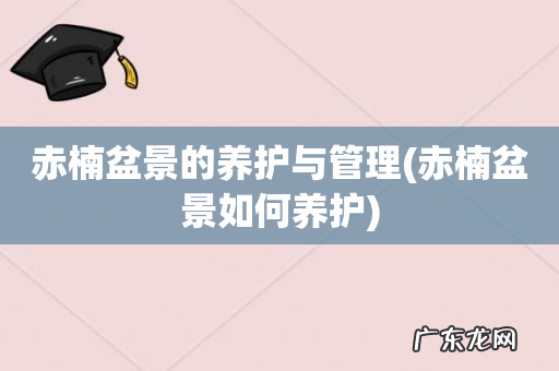 赤楠盆景如何养护 赤楠盆景的养护与管理