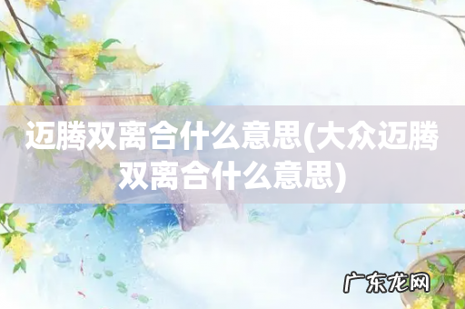 大众迈腾双离合什么意思 迈腾双离合什么意思