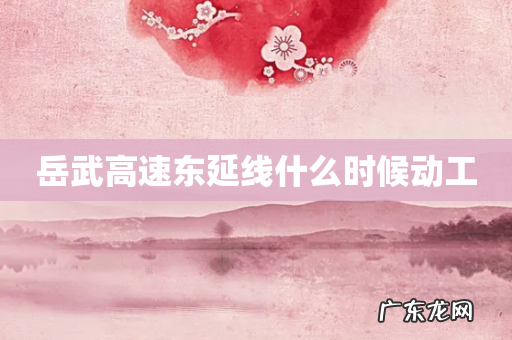 岳武高速东延线什么时候动工