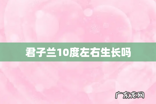 君子兰10度左右生长吗