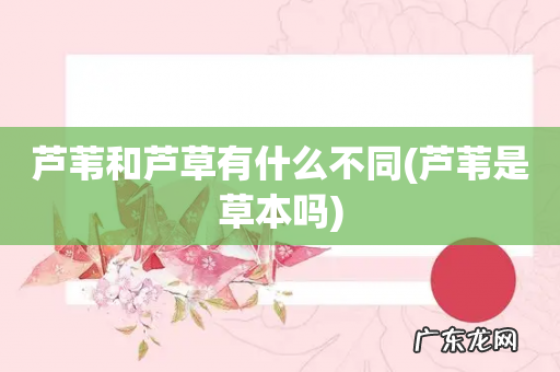 芦苇是草本吗 芦苇和芦草有什么不同