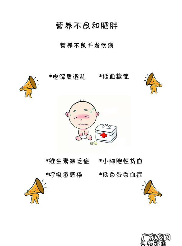 宝宝饮食安排 宝宝饮食营养