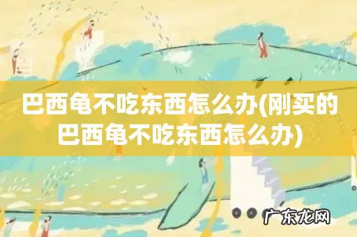 刚买的巴西龟不吃东西怎么办 巴西龟不吃东西怎么办