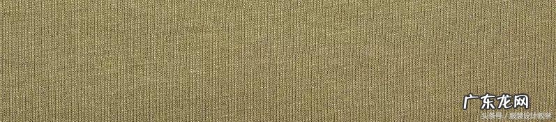 仿真芦苇什么颜色好看 服装店放仿真芦苇风水好不好