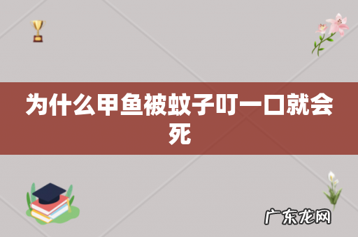 为什么甲鱼被蚊子叮一口就会死
