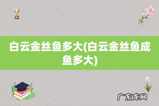 白云金丝鱼成鱼多大 白云金丝鱼多大