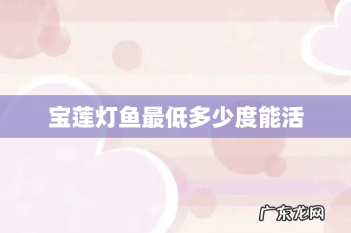 宝莲灯鱼最低多少度能活