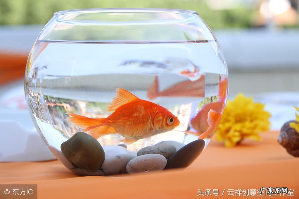 鱼缸流水声对风水好吗 家里鱼缸有流水声 风水