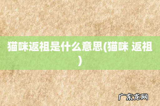 猫咪 返祖 猫咪返祖是什么意思