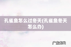 孔雀鱼冬天怎么办 孔雀鱼怎么过冬天