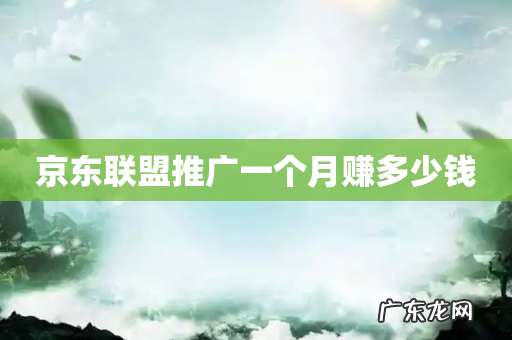 京东联盟推广一个月赚多少钱