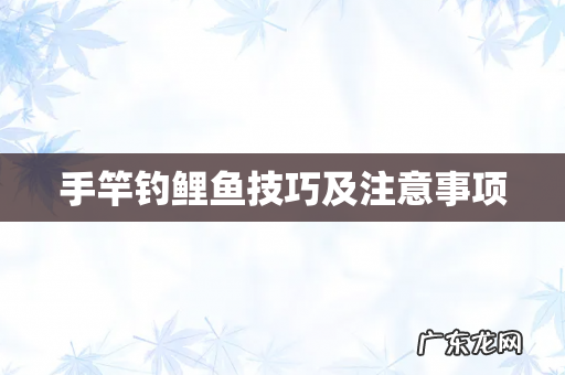 手竿钓鲤鱼技巧及注意事项