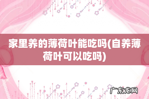 自养薄荷叶可以吃吗 家里养的薄荷叶能吃吗