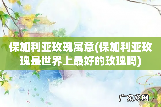 保加利亚玫瑰是世界上最好的玫瑰吗 保加利亚玫瑰寓意