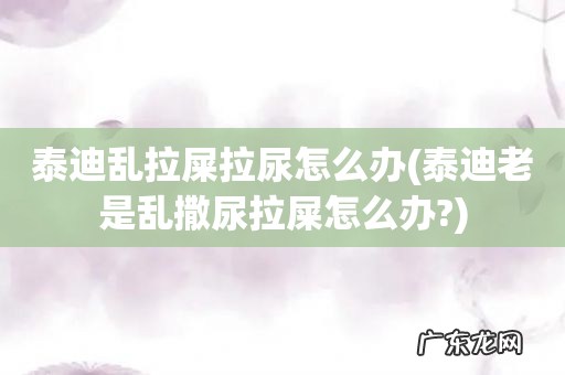 泰迪老是乱撒尿拉屎怎么办? 泰迪乱拉屎拉尿怎么办