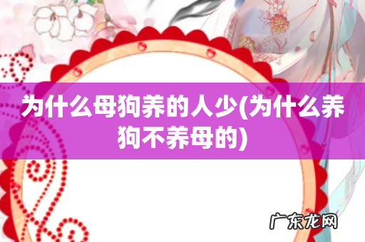 为什么养狗不养母的 为什么母狗养的人少