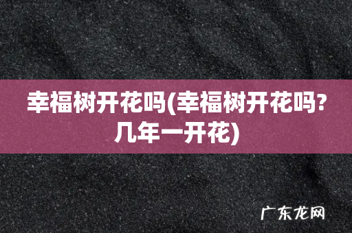 幸福树开花吗?几年一开花 幸福树开花吗