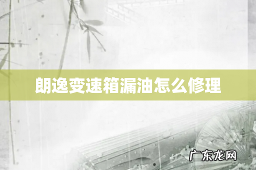 朗逸变速箱漏油怎么修理