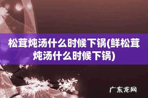 鲜松茸炖汤什么时候下锅 松茸炖汤什么时候下锅