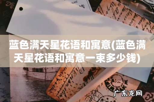 蓝色满天星花语和寓意一束多少钱 蓝色满天星花语和寓意