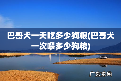 巴哥犬一次喂多少狗粮 巴哥犬一天吃多少狗粮