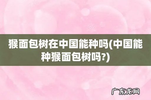 中国能种猴面包树吗? 猴面包树在中国能种吗