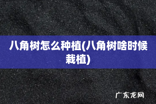八角树啥时候栽植 八角树怎么种植