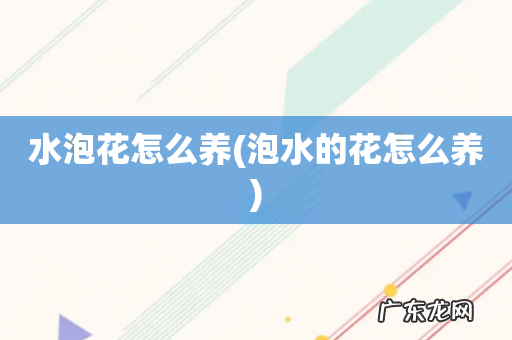 泡水的花怎么养 水泡花怎么养