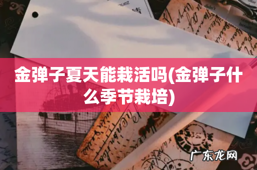金弹子什么季节栽培 金弹子夏天能栽活吗
