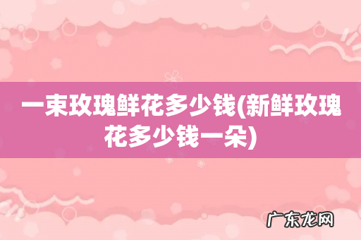 新鲜玫瑰花多少钱一朵 一束玫瑰鲜花多少钱