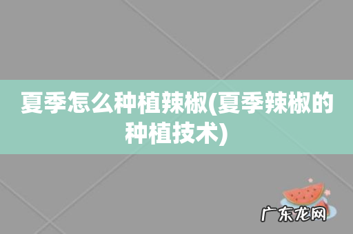 夏季辣椒的种植技术 夏季怎么种植辣椒