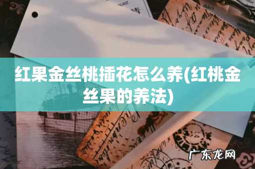 红桃金丝果的养法 红果金丝桃插花怎么养