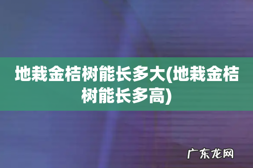 地栽金桔树能长多高 地栽金桔树能长多大