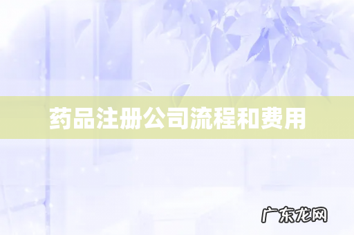 药品注册公司流程和费用