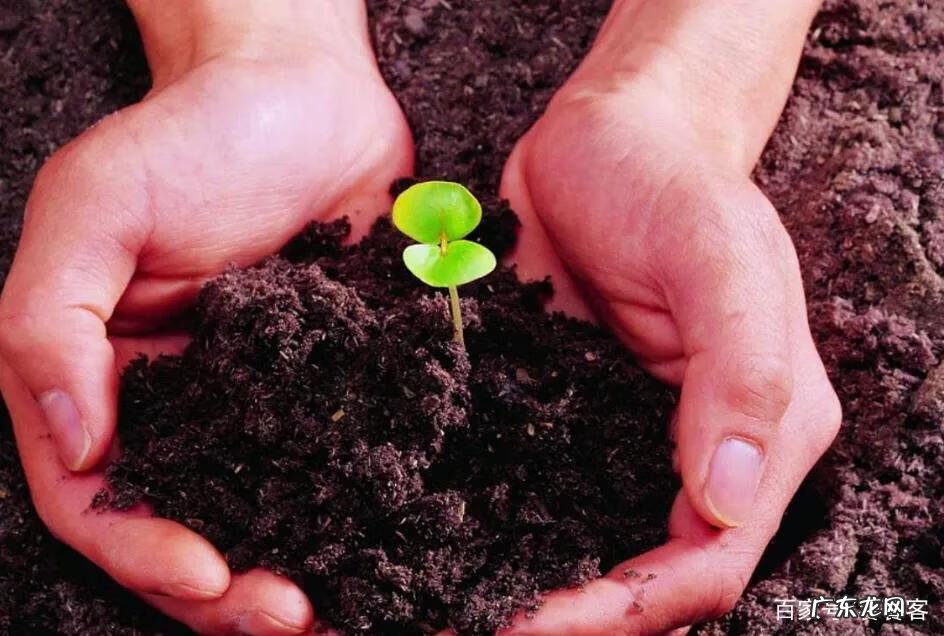 你打算怎样锻炼自己的意志 怎样磨练意志