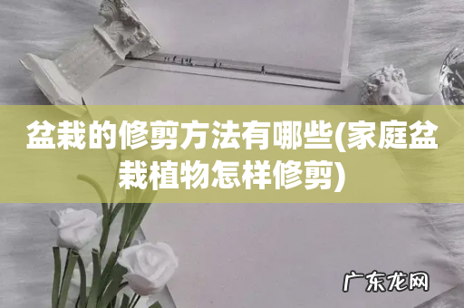 家庭盆栽植物怎样修剪 盆栽的修剪方法有哪些