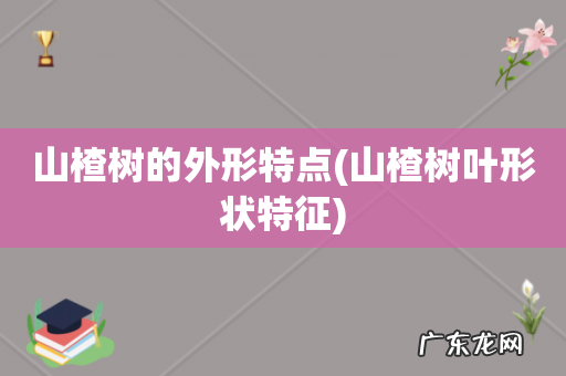 山楂树叶形状特征 山楂树的外形特点