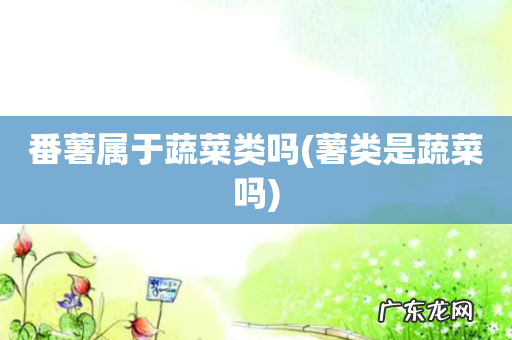 薯类是蔬菜吗 番薯属于蔬菜类吗