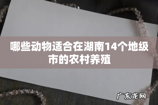 哪些动物适合在湖南14个地级市的农村养殖