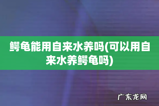 可以用自来水养鳄龟吗 鳄龟能用自来水养吗