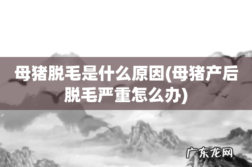 母猪产后脱毛严重怎么办 母猪脱毛是什么原因