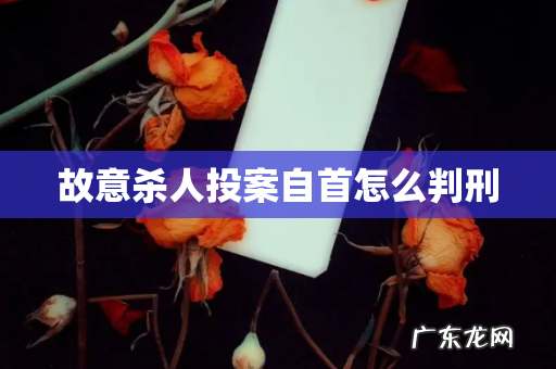 故意杀人投案自首怎么判刑