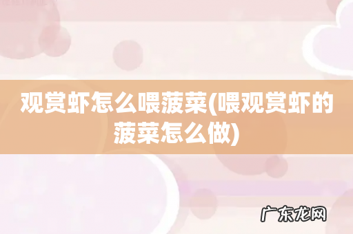 喂观赏虾的菠菜怎么做 观赏虾怎么喂菠菜