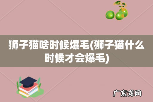 狮子猫什么时候才会爆毛 狮子猫啥时候爆毛