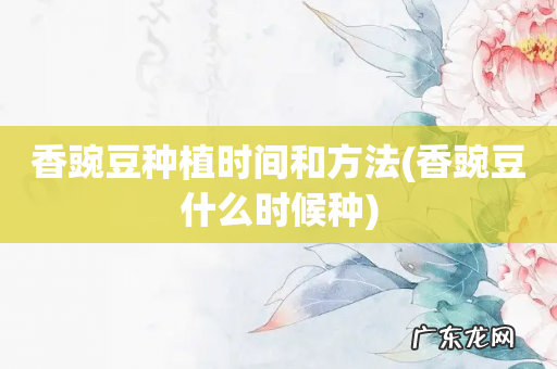 香豌豆什么时候种 香豌豆种植时间和方法