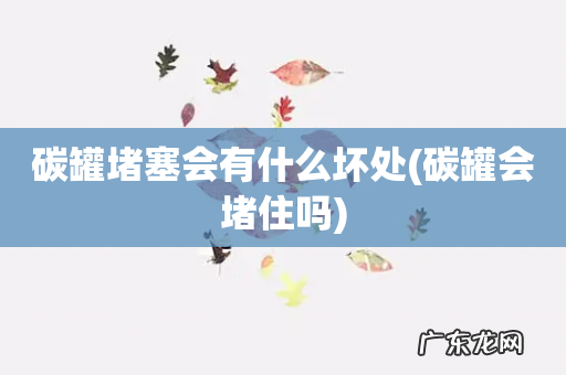 碳罐会堵住吗 碳罐堵塞会有什么坏处