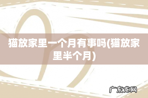 猫放家里半个月 猫放家里一个月有事吗