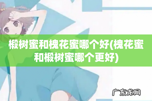 槐花蜜和椴树蜜哪个更好 椴树蜜和槐花蜜哪个好