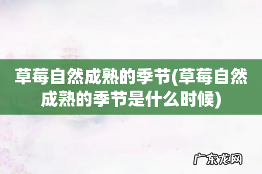 草莓自然成熟的季节是什么时候 草莓自然成熟的季节